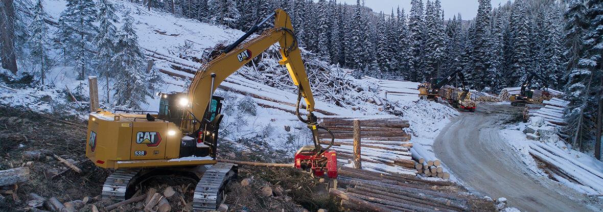 Finning Forestry Excavator with grappler and log