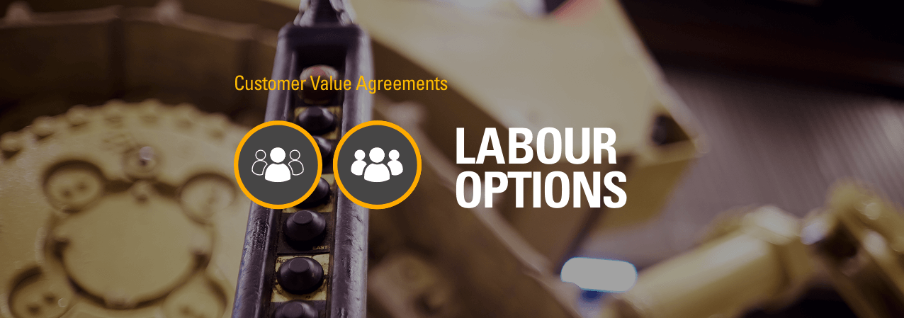 Labour Options | Finning Cat