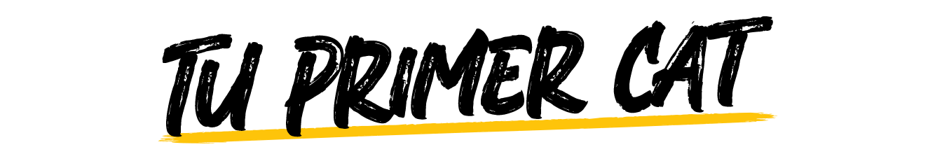 tu primer cat