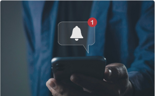 consulta de precio - cat ip