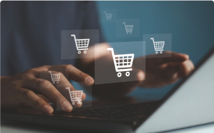 orden de compra - cat ip