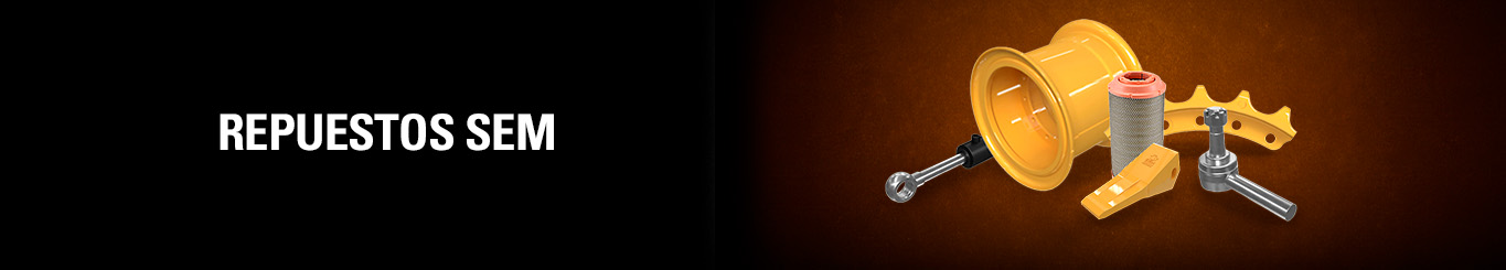 CYBER ARGENTINA 2025 - REPUESTOS SEM