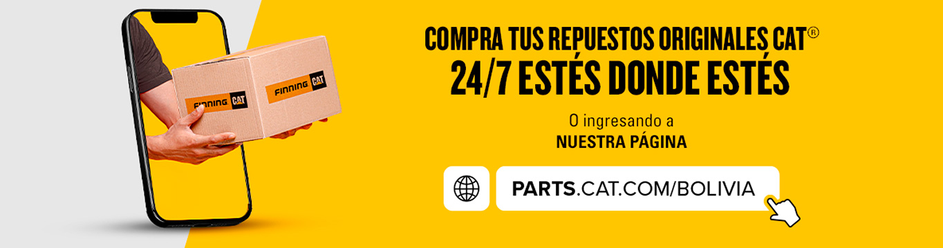 dias f bolivia