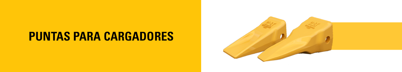 PS CHILE ENERO 2026 - PUNTAS