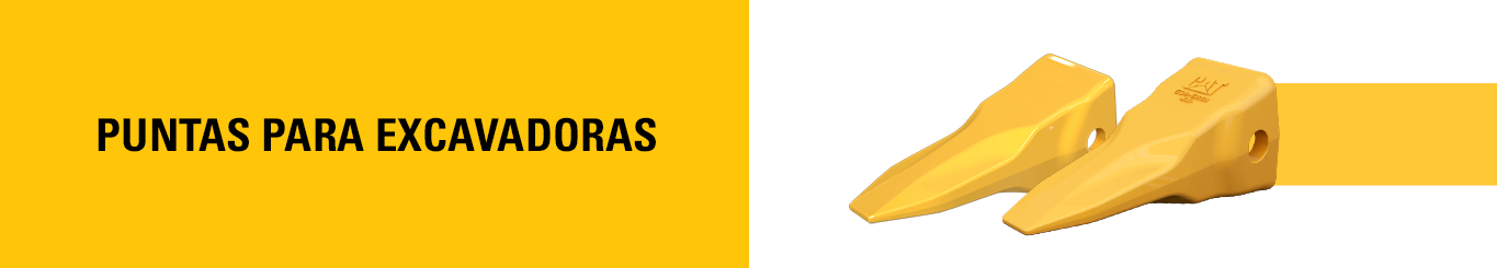 PS CHILE ENERO 2026 - PUNTAS