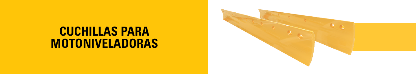 PS CHILE ENERO 2026 - PUNTAS