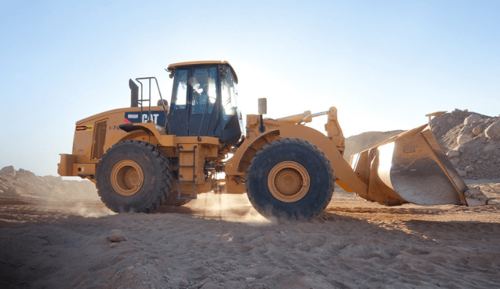 Cat Rental Store celebra su vigésimo aniversario